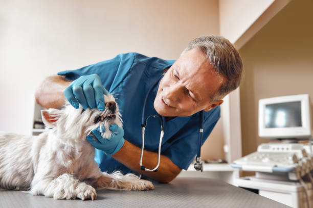 Best Weekend Emergency Dentist in Darby, PA