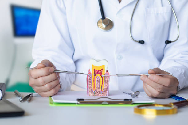 Best Urgent Dental Care for Toothache in Darby, PA
